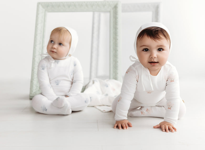 Baby's Breath Set - White/Misty Rose